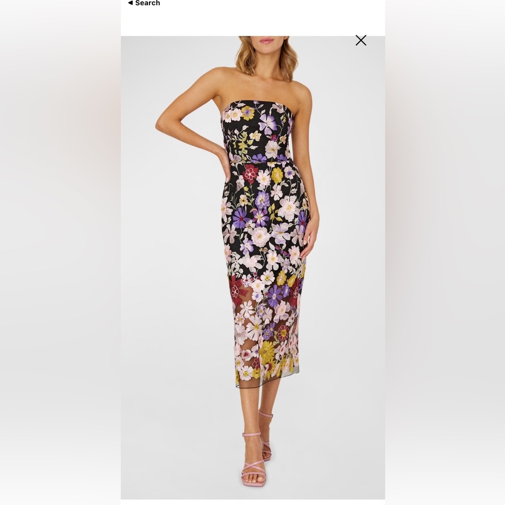 Milly
Strapless Floral-Embroidered
Midi Dress- worn once